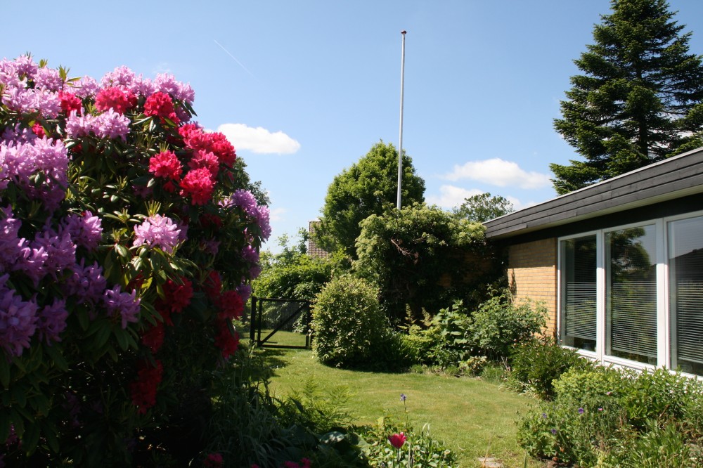 Faellesarealhave_bellasbedandbreakfast_grejs_vejle