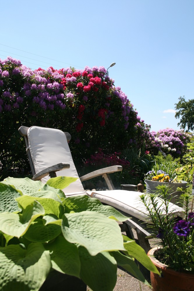 Faellesarealhave_bellasbedandbreakfast_grejs_vejle